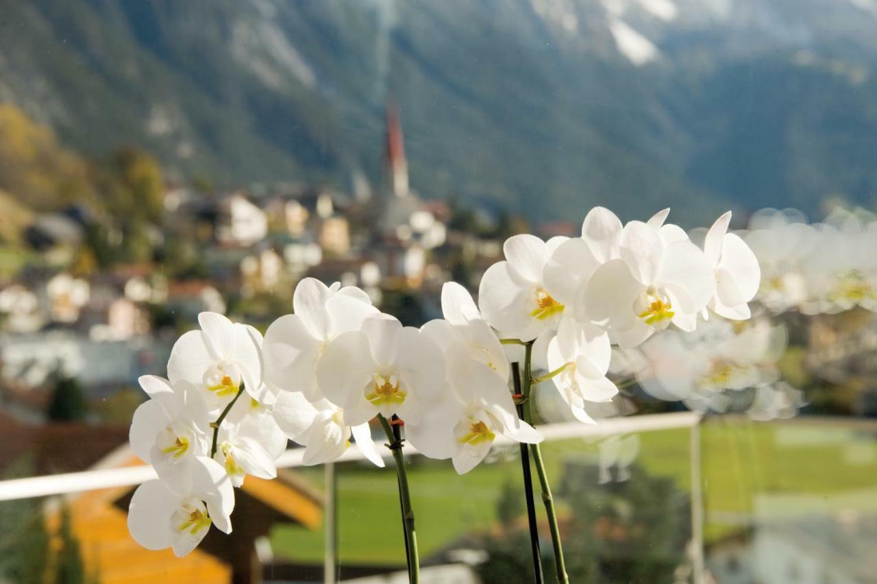 Pension Angelika เพทท์นอย อัม อาร์ลแบร์ก ภายนอก รูปภาพ